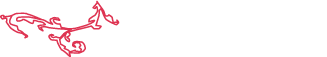 Design Og Handelshuset